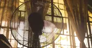 Brits Warned: Heatwave Fan Safety Tips to Avoid Fire Risk