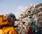 Bycatch 'shocking' toll on UK marine life revealed in first-ever analysis