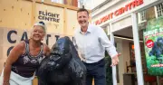 Caesar the Fibreglass Gorilla Finds New London Home After Eviction