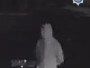 CCTV appeal after Congleton home attacked with petrol bomb