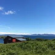Charming Cabin on Tiny Scottish Island Offers Perfect Peaceful Getaway
