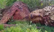 Chelsea Flower Show Garden Celebrates Urban Edgelands and Nature