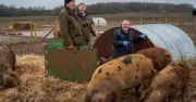 Clarkson's Farm Vet Dilwyn Evans Shares What Jeremy Clarkson Is Really Like