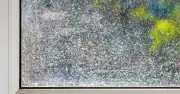Clean Windows with Cornflour: Streak-Free, Pollen-Free in Minutes