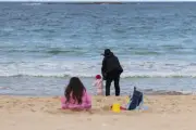 Coogee Beach Regulars Rethink Swimming After Fatal Shark Attack