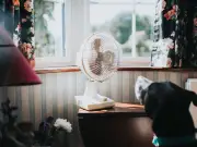 Cool Your Home Fast After UK Heatwave Using 'Flushing' Method