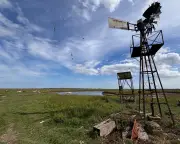 Country Diary: Exploring Horsey Island’s Secret Water and Farming Innovation