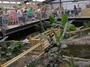 Crocodile Enclosure Reopens After Boy, 3, Injured at UK Zoo