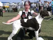 Crufts Winner Banned from Owning Dogs for 10 Years After 77 Dogs Found in Filth