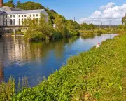 Cyclist Rescues Multiple People from Drowning in Ruhr River