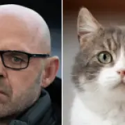 Danny Murphy Baffles Fans with Cat Anecdote During World Cup Match