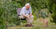 David Attenborough-Approved Urgent Gardening Task for Summer Wildlife