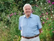 David Attenborough: Simple Step to Attract Robins and Blue Tits to Gardens