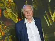 David Attenborough Urges Gardeners to Attract Butterflies with Key Plants