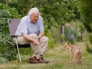 David Attenborough's Key Gardening Task to Attract Wildlife This Summer