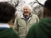 David Attenborough's Simple Tip to Attract Butterflies to Your Garden
