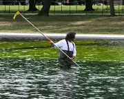 DC's Reflecting Pool Fiasco Mirrors Trump's Dangerous Hubris