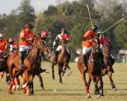 Delhi Polo Club Battle: Green Space vs Construction in India's Capital