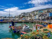 Devon Fish and Chip Shop Named Among Best in UK by Fry Awards