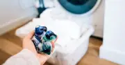 Difference Between Bio and Non-Bio Laundry Detergent Explained