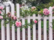 DIY Hack: Paint Garden Fences with a 46p Sponge, No Brushes Needed