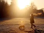 Dog Owners Face £500 Fine Under New Law from June 29