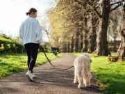 Dog Owners Warned: Avoid Walking Pets Between 11am and 3pm During 35C Heatwave