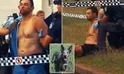 Dog Ownership Dispute May Have Triggered Fatal Attack on One-Armed Man