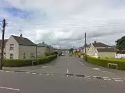 Dog seized after biting teenage boy in Blackwood street