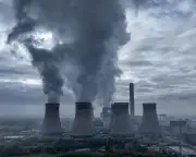 Drax Cleared by FCA After Investigation into Wood Pellet Sourcing