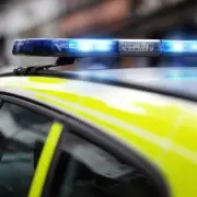 Driver Hospitalized After Mercedes Crashes Into Tree on A19 Near Stockton