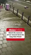 Driver mows down friend in street in horrific show-off stunt