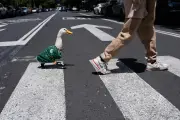 Duck in Mexico Jersey Becomes World Cup Social Media Sensation