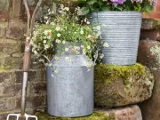 Dunelm's Milk Churn Plant Pot Discounted to £27.20, Shoppers Rave