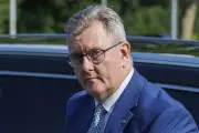 DUP Withdraws from Stormont Over Post-Brexit Trade Deal