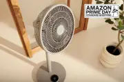 Duux Whisper Flex 2 Smart Fan on Sale for Amazon Prime Day at £129.99