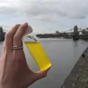 E.coli Levels in River Thames 60 Times Safe Limit After Sewage Spill