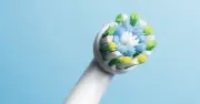 Electric Toothbrush Boosts Tomato Pollination in July Heat