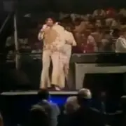 Elvis Fans Spot 'Mobile Phone' in 1977 Concert Photo, Spark Time Travel Debate