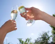 English Wine Finally Finding Its Trousers: Prices Drop, Styles Expand