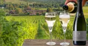 English Wine Rivals French Champagne as Denbies Vineyard Celebrates 40 Years