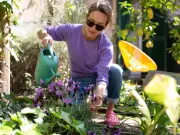 Ex-Royal Gardener Reveals Coffee Grounds Boost Garden Health