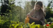Expert Advice: Water Your Garden Less Often During Heatwaves