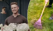 Expert Gardener Jonny Hincks Shares Summer Gardening Tips and Tricks