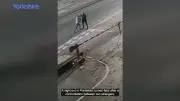 Family releases horrific video after man jailed for killing dad with one punch