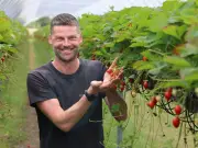 Family-run strawberry field sells out like Glastonbury tickets