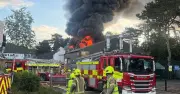 Fire at UK Mini-Zoo Kills All Animals Except One Baby Tortoise
