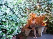 Five Invasive Plants That Can Damage Your Home and Spread Aggressively