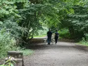 Five Shady Woodland Walks in Greater Manchester to Escape Heatwave