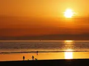 Florida Expat Shocked by UK Heatwave: 'I Made a Noise I Never Made Before'